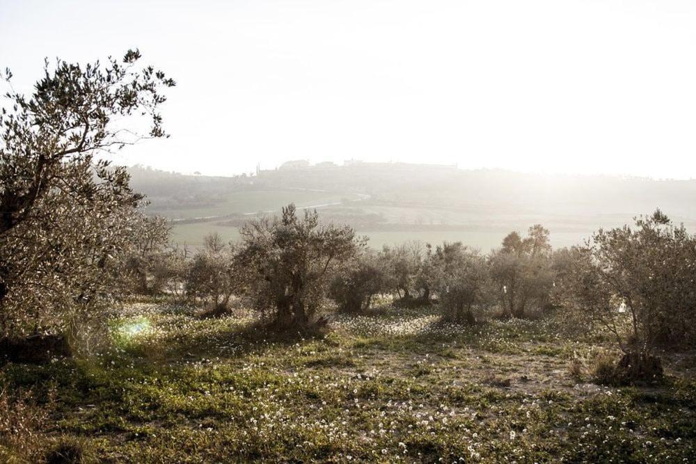Castellfullit de Riubregos Masia Cal Millas - Turisme Rural מראה חיצוני תמונה